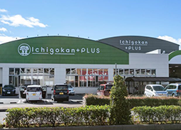 Ichigokan+PLUS 桑名陽だまり店