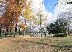 大山田第四公園