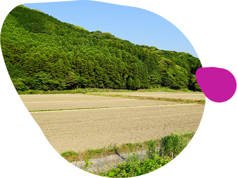 不動産売却イメージ